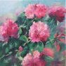 Les rhododendrons [Huile - 40 x 40]